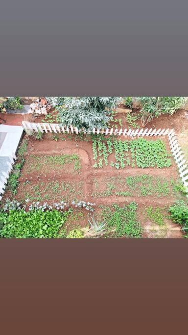 Saifarms Private Farmhouse Between Pune & Lonavala Nethersole Dam المظهر الخارجي الصورة