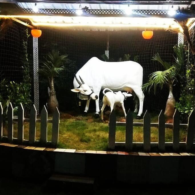 Saifarms Private Farmhouse Between Pune & Lonavala Nethersole Dam المظهر الخارجي الصورة