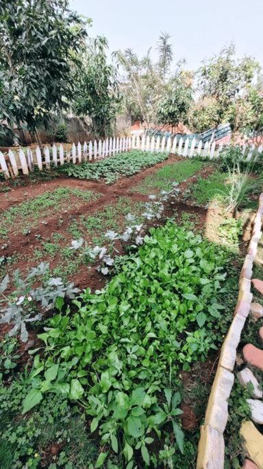 Saifarms Private Farmhouse Between Pune & Lonavala Nethersole Dam المظهر الخارجي الصورة