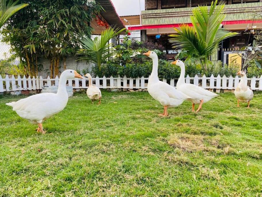 Saifarms Private Farmhouse Between Pune & Lonavala Nethersole Dam المظهر الخارجي الصورة
